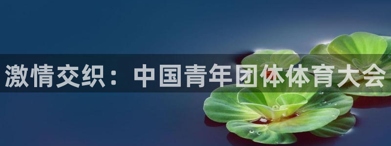 凯发官方正版app娱乐下载：激情交织：中国青年团体体