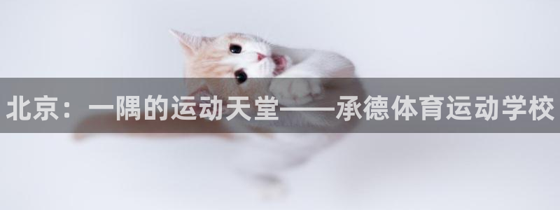 凯发官方正版app集团简介：北京：一隅的运动天堂——
