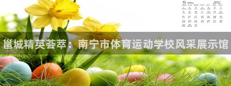 凯发官网下载招商电话是多少啊：邕城精英荟萃：南宁市体