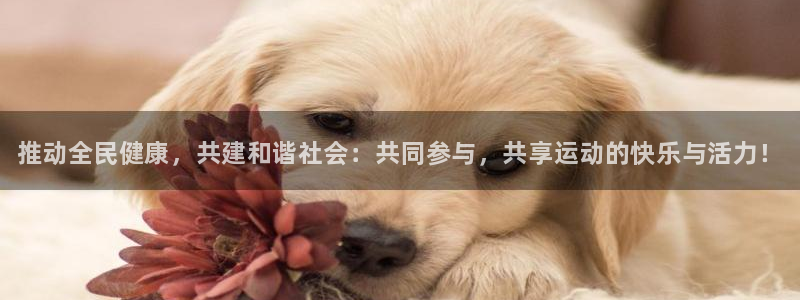 凯发官方正版app集团官网首页网址：推动全民健康，共