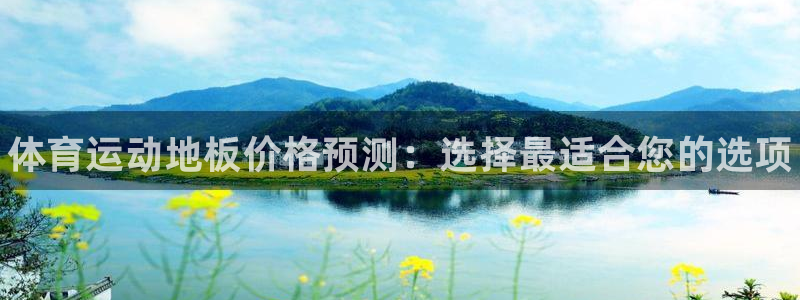 凯发官网下载注册：体育运动地板价格预测：选择最适合您