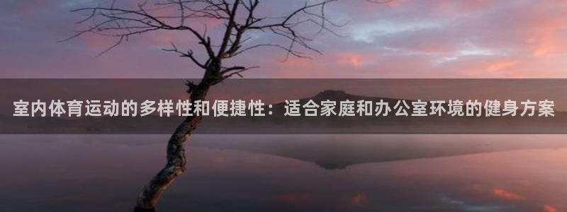 凯发官方平台体育：室内体育运动的多样性和便捷性：适合