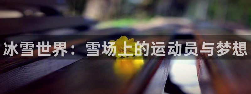 凯发官方集团官网：冰雪世界：雪场上的运动员与梦想