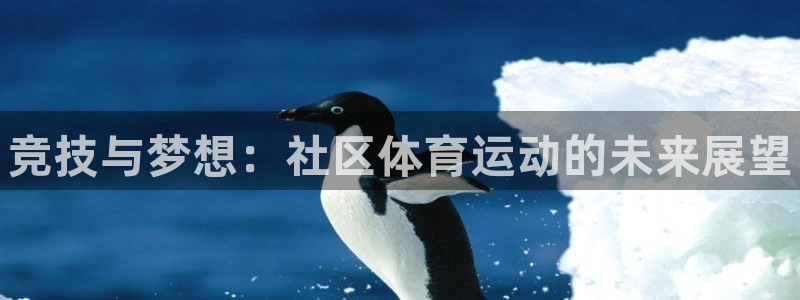 凯发官方正版app神州：竞技与梦想：社区体育运动的未