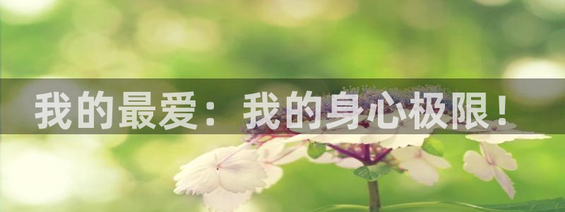 注册凯发官方正版app：我的最爱：我的身心极限！