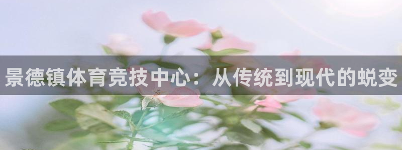 凯发官网下载招商电话：景德镇体育竞技中心：从传统到现代的蜕变