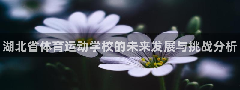 凯发官网下载招商电话号码是多少啊