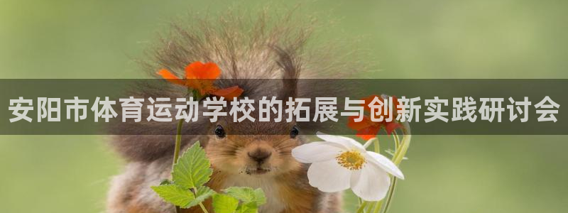 凯发官网下载招商电话地址：安阳市体育运动学校的拓展与