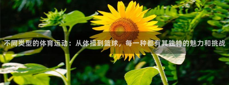 凯发官网下载平台假的吗是真的吗:不同类型的体育运动:从体操到