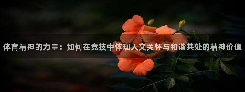 注册凯发官方正版app:体育精神的力量:如何在竞技中体现人文