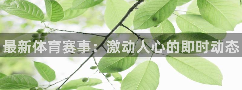 凯发官网下载平台是正规平台吗：最新体育赛事：激动人心的即时动