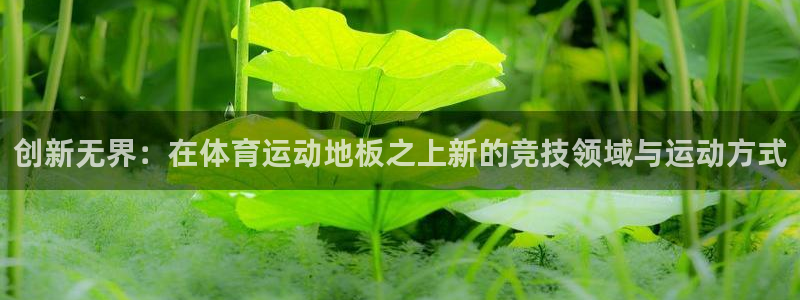 凯发官网下载招商：创新无界：在体育运动地板之上新的竞技领域与