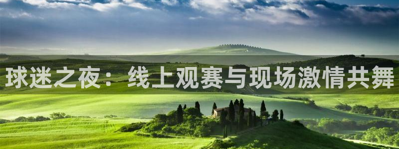 蓝鲸体育足球免费观看：球迷之夜：线上观赛与现场激情共舞
