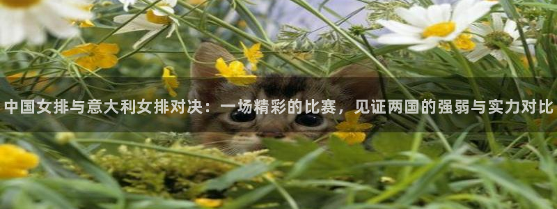 蓝鲸直播体育免费观看：中国女排与意大利女排对决：一场精彩的比赛，见证两国的强弱与实力对比