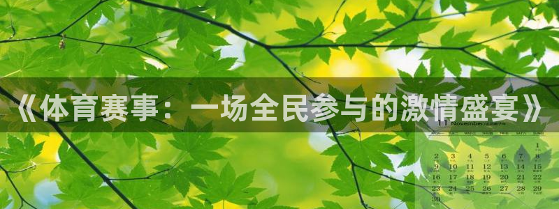 蓝鲸体育足球直播：《体育赛事：一场全民参与的激情盛宴》