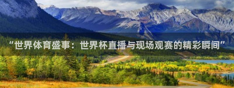蓝鲸体育直播电脑版：“世界体育盛事：世界杯直播与现场观赛的精彩瞬间”