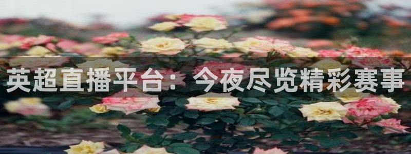 蓝鲸体育在线直播：英超直播平台：今夜尽览精彩赛事